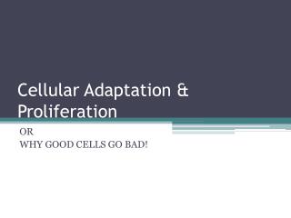 Cellular Adaptation &amp; Proliferation