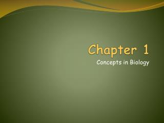 Chapter 1