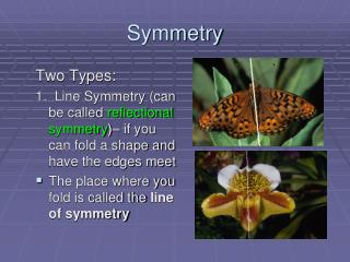 Symmetry