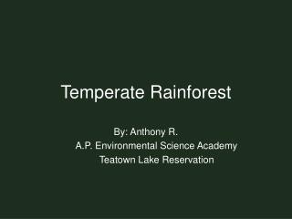Temperate Rainforest