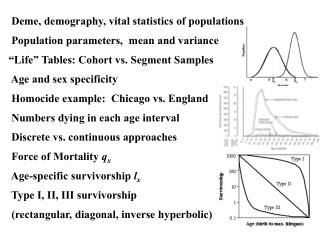 v x = Reproductive Value = Age-specific expectation 				 of all future offspring