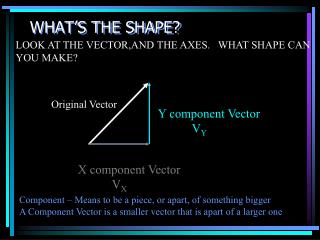 WHAT’S THE SHAPE?