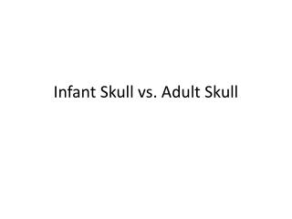 Infant Skull vs. Adult Skull