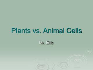 Plants vs. Animal Cells