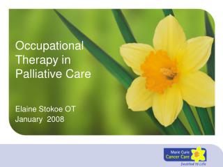 Occupational Therapy in Palliative Care