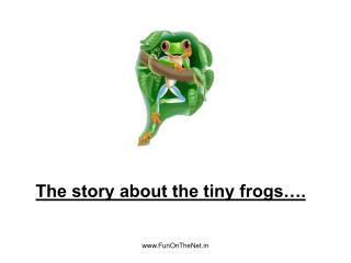 The story about the tiny frogs….