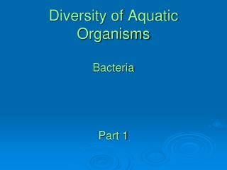 Diversity of Aquatic Organisms Bacteria Part 1