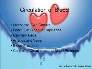 Circulation of Blood