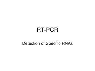 RT-PCR