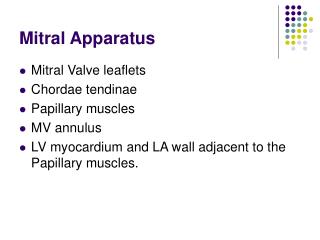 Mitral Apparatus