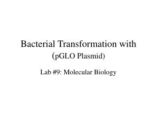 Bacterial Transformation with ( pGLO Plasmid)