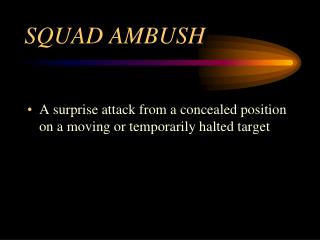 SQUAD AMBUSH