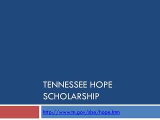 Tennessee Hope Scholarship