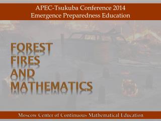 Forest Fires and Mathematics