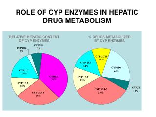 ROLE OF CYP ENZYMES IN HEPATIC DRUG METABOLISM