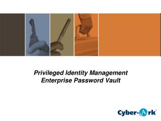 Privileged Identity Management Enterprise Password Vault