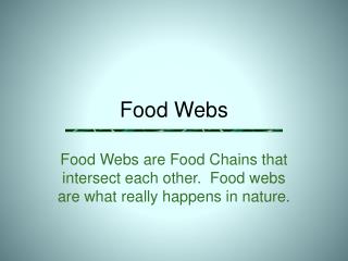 Food Webs