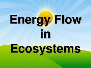 Energy Flow in Ecosystems