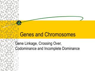 Genes and Chromosomes