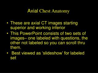 Axial Chest Anatomy