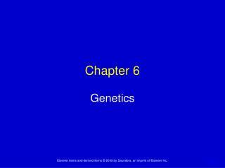 Chapter 6 Genetics