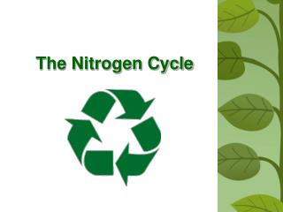 The Nitrogen Cycle