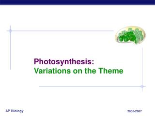 Photosynthesis: Variations on the Theme