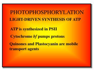 PHOTOPHOSPHORYLATION