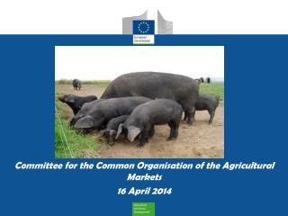 Committee for the Common Organisation of the Agricultural Markets 16 April 2014