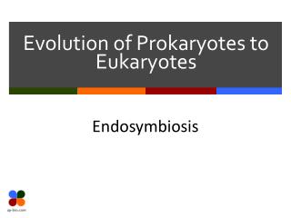 Evolution of Prokaryotes to Eukaryotes
