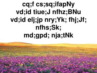 cq;f cs;sq;ifapNy vd;id tiue;J nfhz;BNu vd;id elj;jp nry;Yk; fhj;Jf; nfhs;Sk; md;gpd; nja;tNk