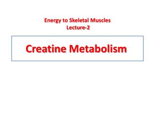 Creatine Metabolism