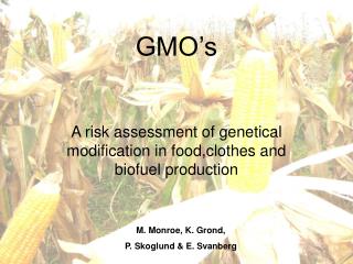 GMO’s