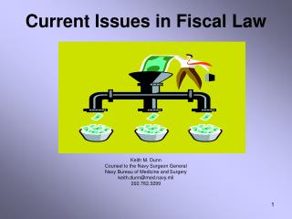 Current Issues in Fiscal Law