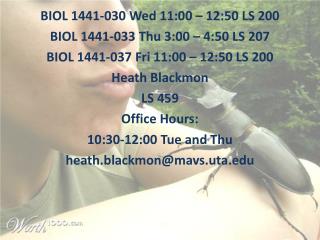 BIOL 1441-030 Wed 11:00 – 12:50 LS 200 BIOL 1441-033 Thu 3:00 – 4:50 LS 207