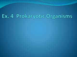 Ex. 4 Prokaryotic Organisms