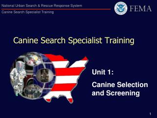 Canine Search Specialist Training