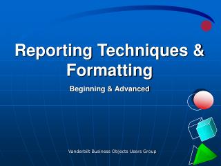 Reporting Techniques &amp; Formatting Beginning &amp; Advanced