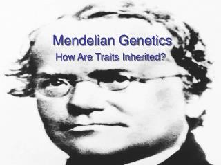 Mendelian Genetics