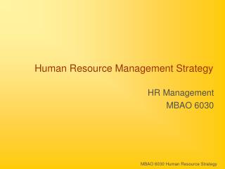 Human Resource Management Strategy