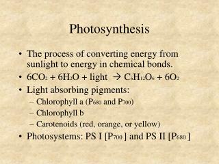 Photosynthesis