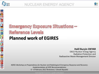 Emergency Exposure Situations – Reference Levels Planned work of EGIRES