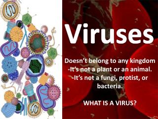 Viruses