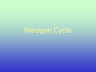 Nitrogen Cycle