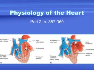 Physiology of the Heart