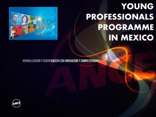 YOUNG PROFESSIONALS PROGRAMME IN MEXICO