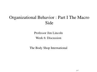 Organizational Behavior : Part I The Macro Side