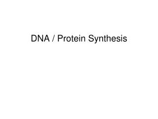 DNA / Protein Synthesis