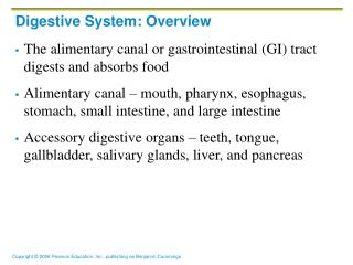 Digestive System: Overview