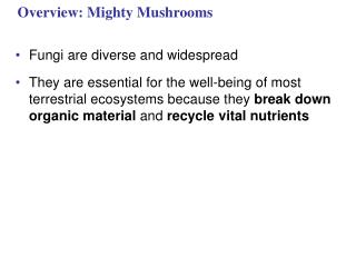 Overview: Mighty Mushrooms